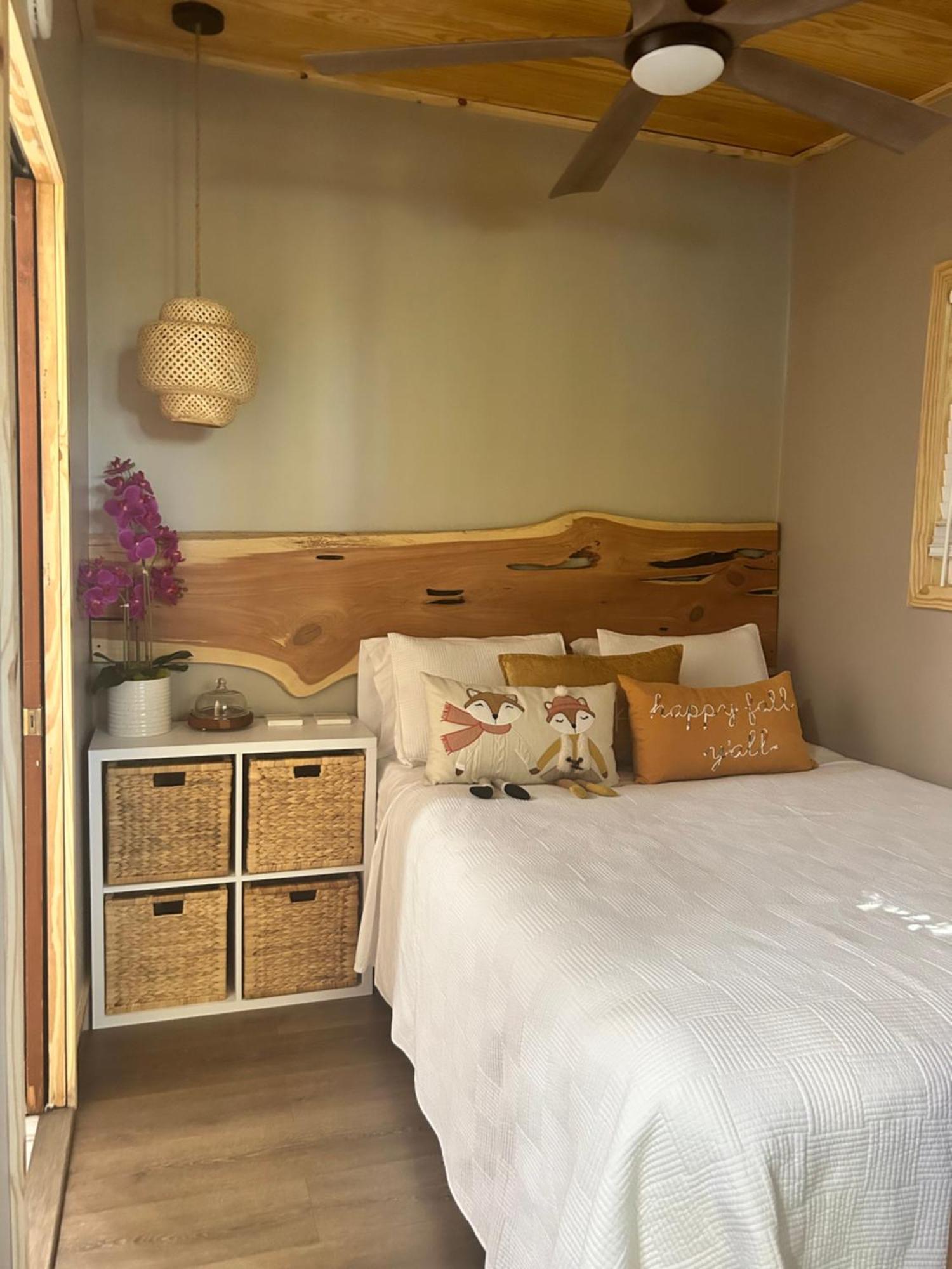 Sweet Tiny Cabin Tampa Exterior photo